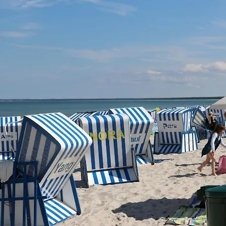 In With Swimming Pool * Breege