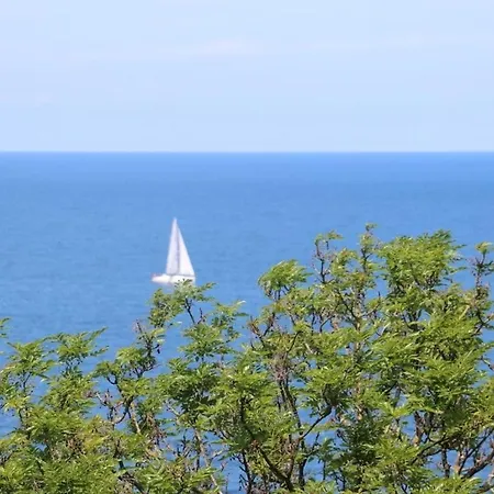 In With Swimming Pool