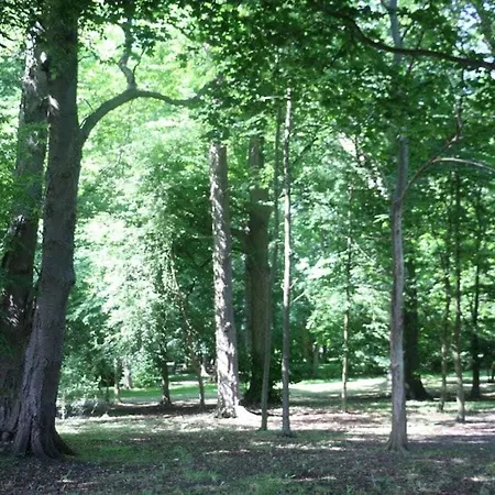 In With Swimming Pool Feriehus